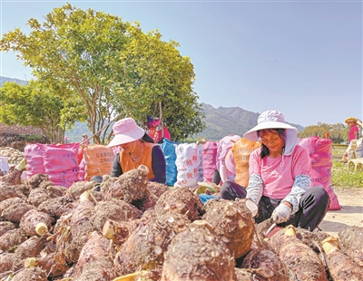 韶关瞄准预制菜产业 全力打造预制菜全产业链