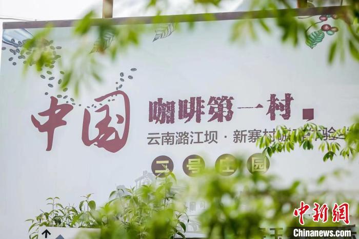 “中国咖啡第一村”新寨：“数字乡村”为农旅