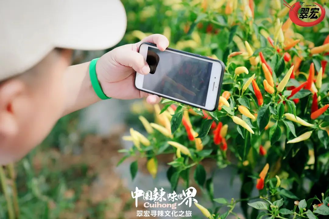 一场寻辣之旅,我们看到了餐饮“成瘾性”事业的潜力