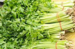 卖5斤芹菜被罚6.6万，﻿食品安全执法不能只讲“