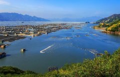 重磅支持！湛江出台专项金融政策，支持预制菜