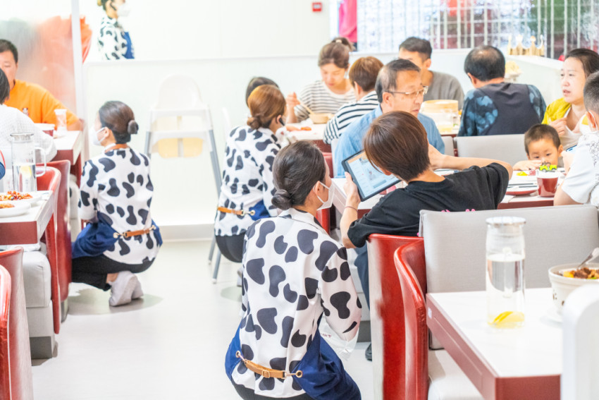 海底捞你学不会，小放牛你学不了