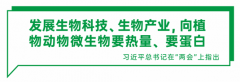 让植物肉懂中国胃，「新素食」完成数千万元A轮