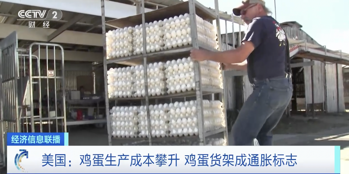 一枚鸡蛋卖10元!鸡蛋货架成美国通胀标志