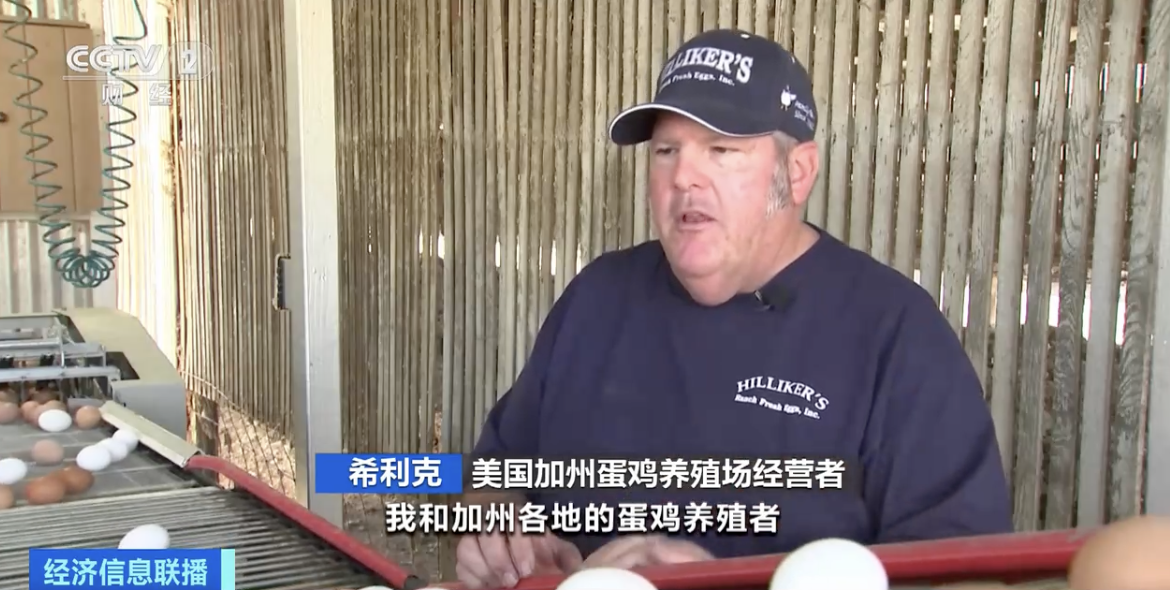 一枚鸡蛋卖10元!鸡蛋货架成美国通胀标志