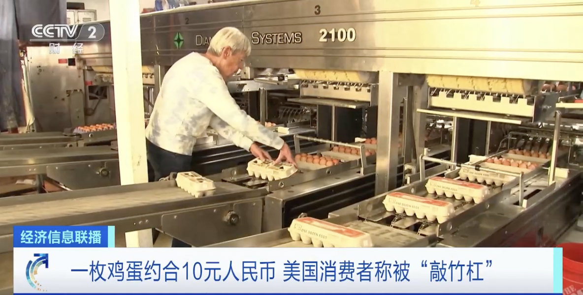 一枚鸡蛋卖10元!鸡蛋货架成美国通胀标志