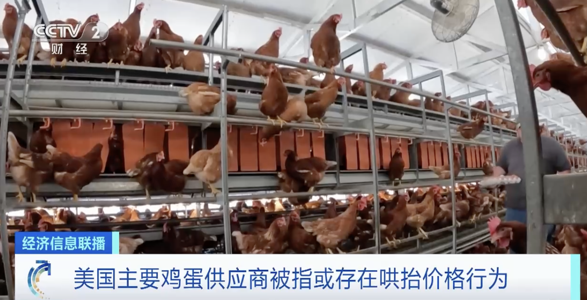 一枚鸡蛋卖10元!鸡蛋货架成美国通胀标志