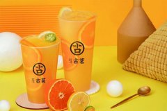 古茗奶茶加盟费及加盟条件2023，古茗加盟大概需