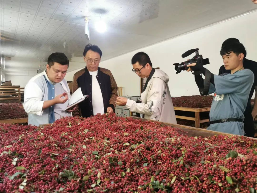 实现连锁加盟扩张,餐饮品牌要修炼哪些内功?