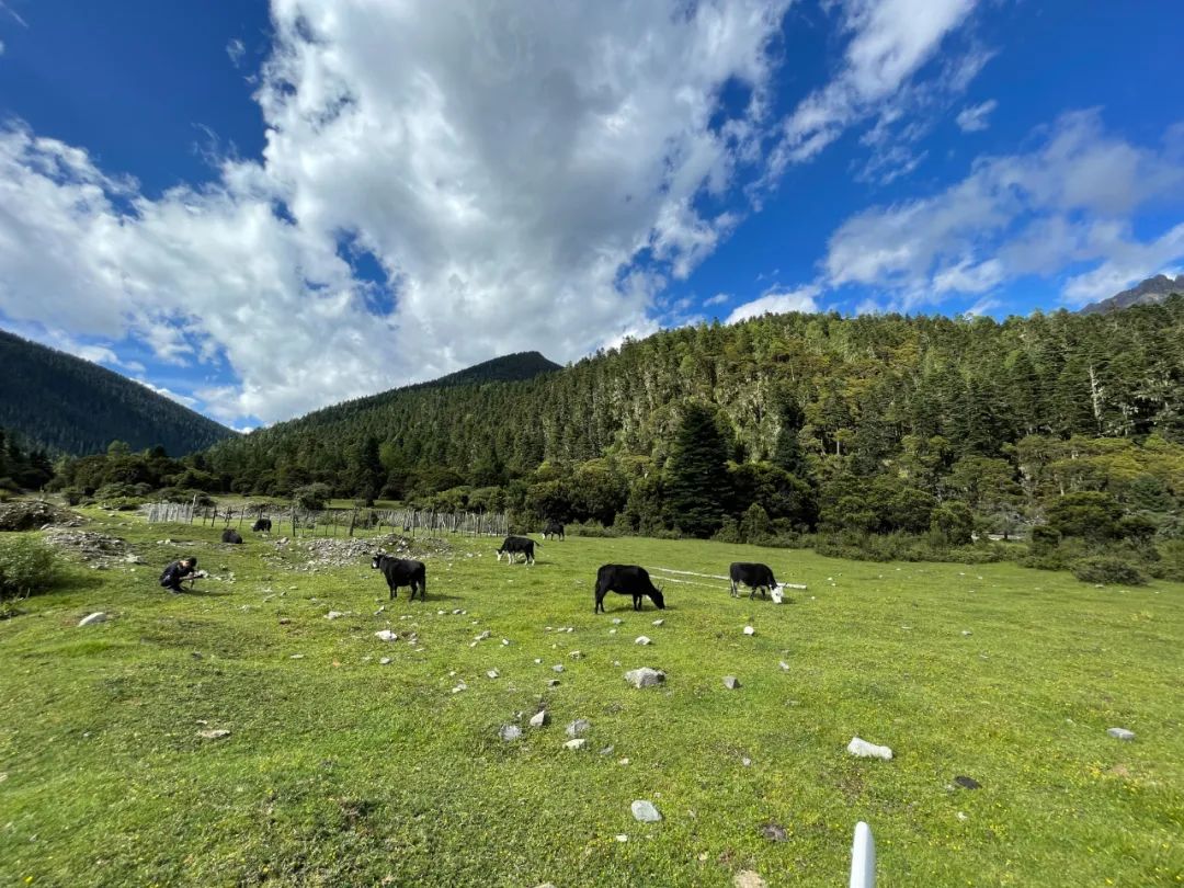 实现连锁加盟扩张,餐饮品牌要修炼哪些内功?