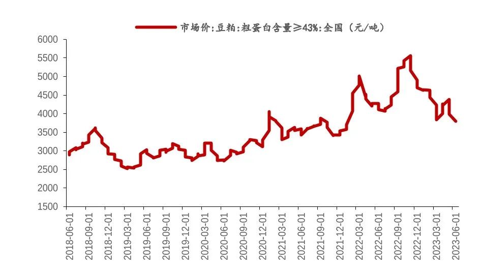 为什么老牌乳企做不好奶茶店?