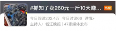 ﻿400元一斤的知了被卖疯了，昆虫美食成餐饮业