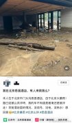 京城顶奢酒店被水淹！耗资8亿，38间居所，10座别