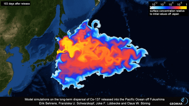 海关总署：全面暂停进口日本水产品，需要囤盐吗？专家解读