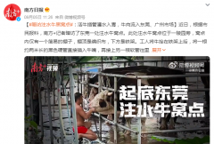 2分钟给牛灌水近50升，牛嘴吐出白沫，浑身浮肿