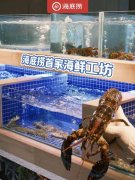 ​海底捞首家海鲜火锅门店落地；Tims中国将推更