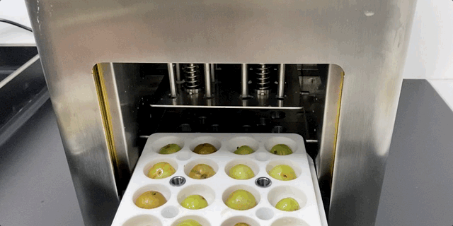 茶饮供应链企业相继成功上市，IPO不成的茶饮企业都去自建供应链了
