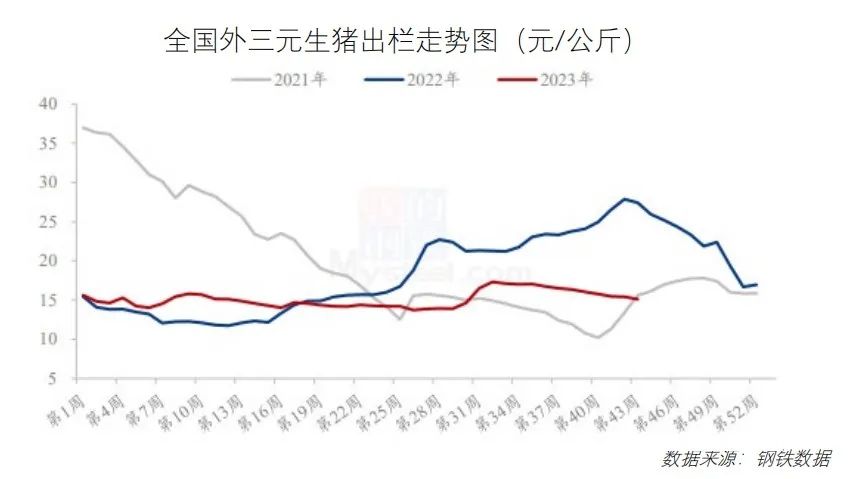 鸡鸭价格震荡下行！免费下载，最新食材采购行情报告