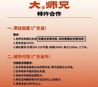 大师兄开放特许合作；三全食品获得政府补助约