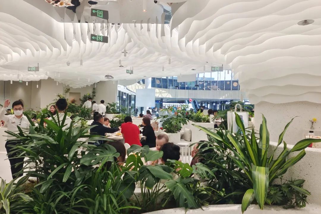 疗愈经济是新商业大势，疗愈定位或是餐企未来发展的好方向
