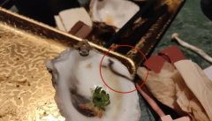 沪上知名连锁餐厅吃出虫子？网红餐饮品牌笨萝